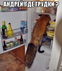 андрей!где грудки ? 