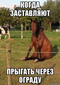 когда заставляют прыгать через ограду