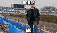 плдгб mc