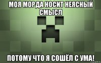 моя морда носит неясный смысл потому что я сошёл с ума!