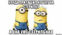 когда притащил кошку на стерилку а она уже стерильная