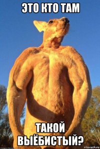 это кто там такой выёбистый?