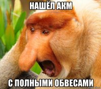 нашёл акм с полными обвесами