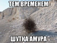 тем временем шутка амура