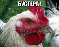 бустера ! 