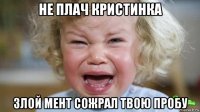 не плач кристинка злой мент сожрал твою пробу
