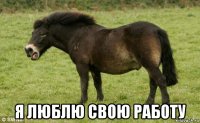  я люблю свою работу