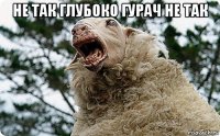 не так глубоко гурач не так 