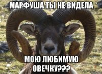 марфуша ты не видела мою любимую овечку???