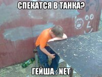 спекатся в танка? гейша : net