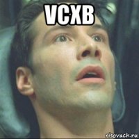 vcxb 