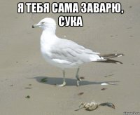 я тебя сама заварю, сука 