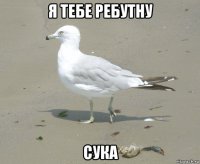 я тебе ребутну сука