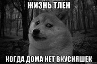 жизнь тлен когда дома нет вкусняшек