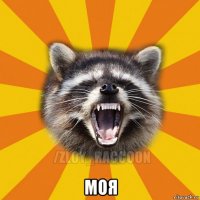  моя