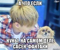 а что если нуны, на самом деле сасен-фантаки