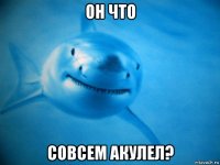 он что совсем акулел?