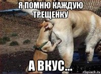 я помню каждую трещенку а вкус...