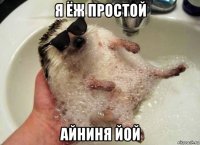 я ёж простой айниня йой