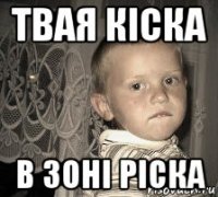 твая кіска в зоні ріска