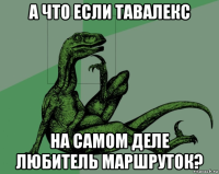 а что если тавалекс на самом деле любитель маршруток?