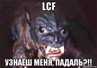 lcf узнаёш меня, падаль?!!