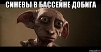 синевы в бассейне добига 