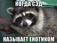 когда сэд называет енотиком