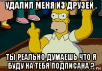 удалил меня из друзей , ты реально думаешь что я буду на тебя подписана ?