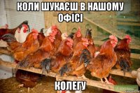коли шукаєш в нашому офісі колегу