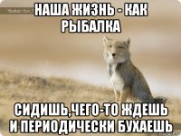наша жизнь - как рыбалка сидишь,чего-то ждешь и периодически бухаешь
