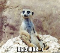  кыз жок...)