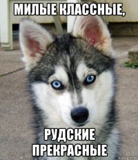 милые классные, рудские прекрасные