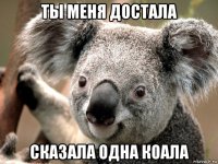 ты меня достала сказала одна коала