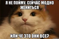 я не пойму, сейчас модно жениться или че это они все?