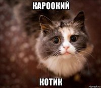 кароокий котик