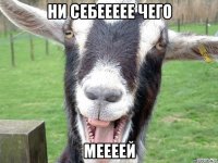 ни себеееее чего меееей