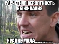 расчетная вероятность выживания крайне мала..................