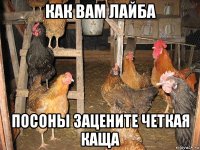 как вам лайба посоны зацените четкая каща