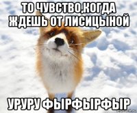 то чувство,когда ждешь от лисицыной уруру фырфырфыр