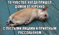 то чувство, когда пришел домой от хуренко с пустыми яйцами и приятным расслабоном