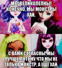 мы великолепны! конечно, мы монстры хай. с вами согласны. мы лучше, потому что мы не только монстр, а ещё хай.