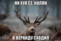 ни хуя се, колян в веранду сходил