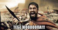  тебе жооооопа!!!