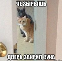 че зырышь дверь закрил сука
