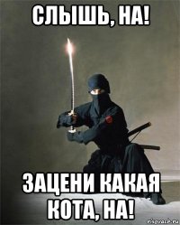 слышь, на! зацени какая кота, на!