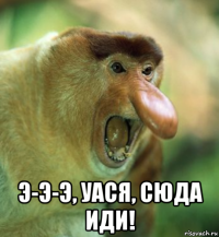  э-э-э, уася, сюда иди!