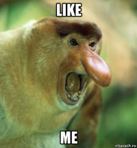 like me