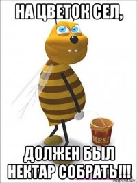 на цветок сел, должен был нектар собрать!!!