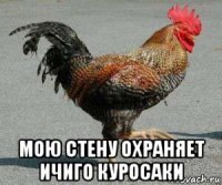  мою стену охраняет ичиго куросаки